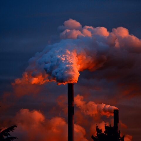 Décarbonation industrielle : la Normandie confirme son rôle de laboratoire de la transition énergétique