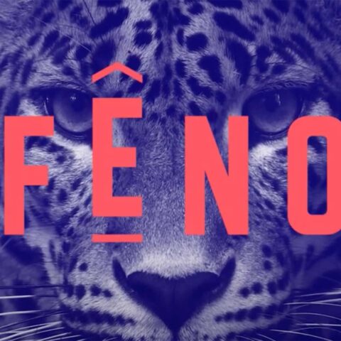 Fêno 2026